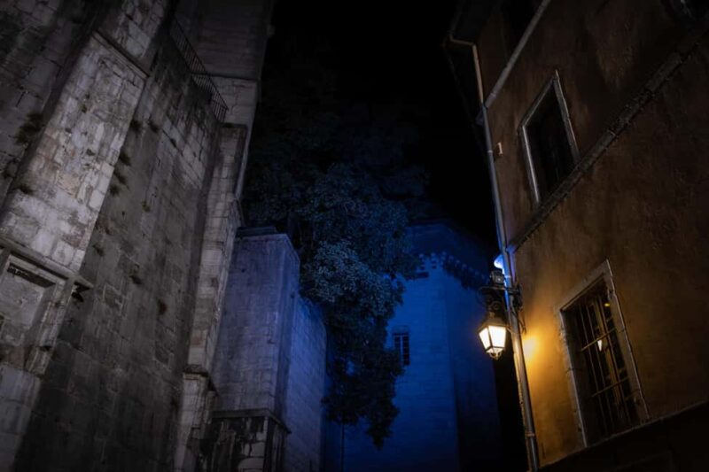 Evening Guided Tour of Chambéry  City of the Dukes of Savoy - Final Stop and Return to the Elephants Fountain