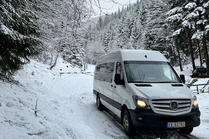 Evening Relaxation and Wellness at Chocholowskie Thermal Baths - The Thermal Bath Experience: Pools, Slides, and Relaxation Zones