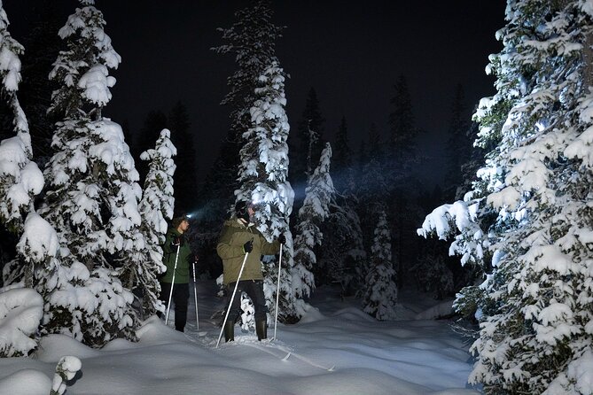 Evening Ski Trek to the Wilderness - Extra Small group - Discover the Evening Ski Trek to the Wilderness in Rovaniemi
