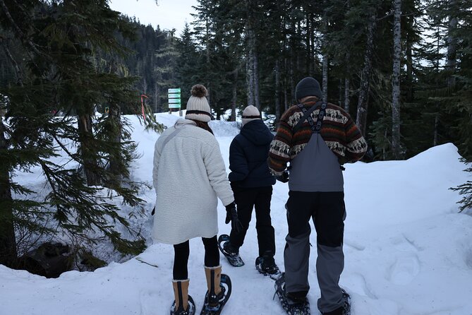 Evening Snowshoeing / Cross-country skiing Experience - Practical Details: Meeting Point, Group Size, and Booking