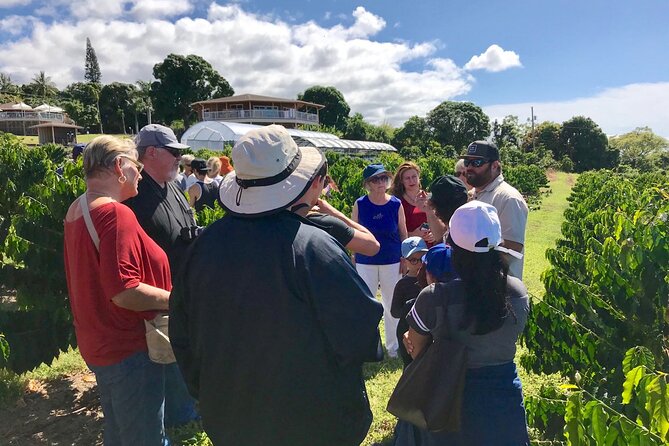 Evening Volcano Explorer Tour from Kona - Exploring Hawaii Volcanoes National Park at Night
