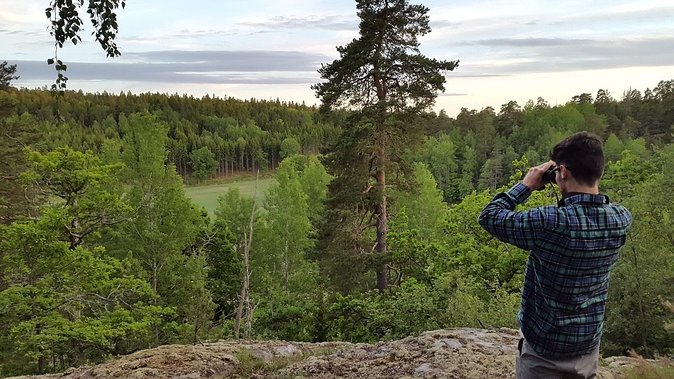Evening Wildlife Safari Stockholm - Exploring Bornsjöns naturreservat: The Heart of the Safari
