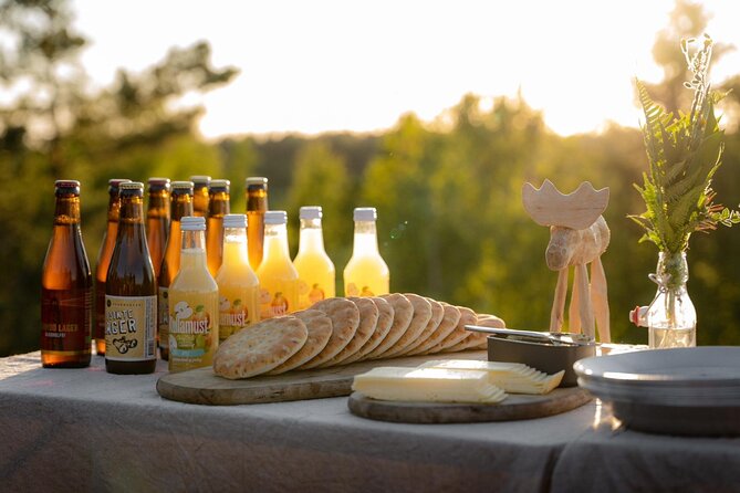 Evening Wildlife Safari Stockholm - Driving Through the Swedish Countryside to Spot Wildlife