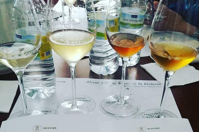 Evening Wine Tasting Córdoba - The Shop and Its Unique Charm