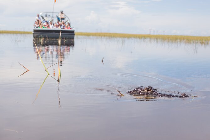 Everglades Admission Ticket with Airboat Ride and Wildlife Show - Key Points