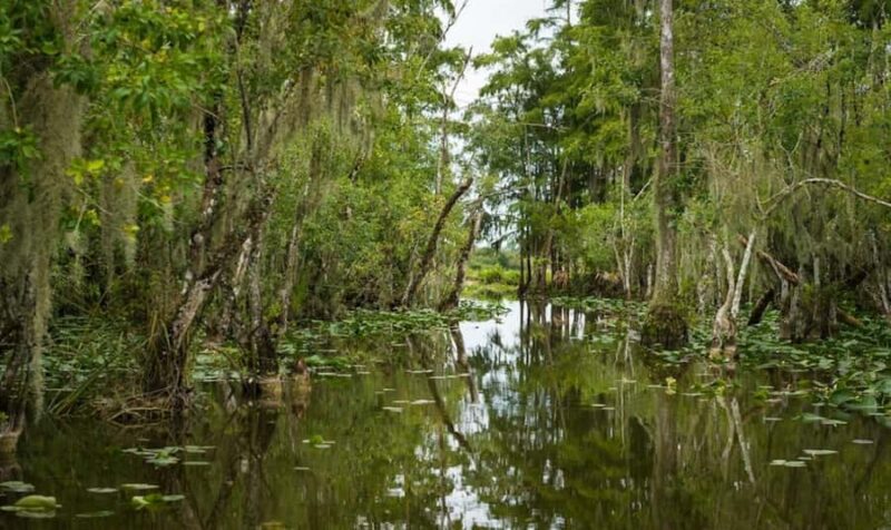 Everglades: Airboat Ride and Wildlife Sanctuary Tour - Limitations and Considerations Based on Reviews