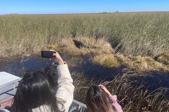 Everglades Airboat, Wildlife Show and free Photo - Value for Money and Booking Tips