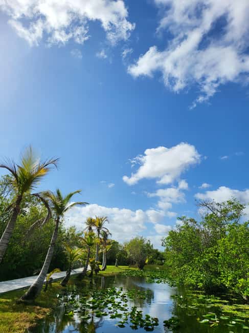 Everglades: boat tour with transportation& entrance included - Scenic Drive with Panoramic Views from Miami