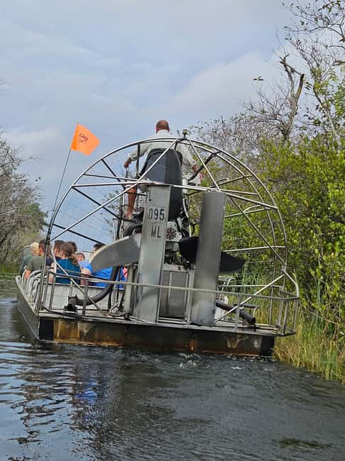 Everglades: boat tour with transportation& entrance included - Wildlife Encounters in the Everglades