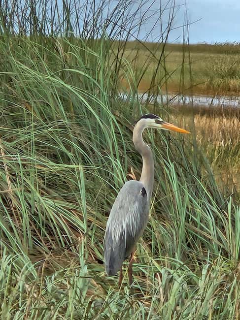 Everglades: boat tour with transportation& entrance included - Post-Activity Exploration and Gift Shop Visit
