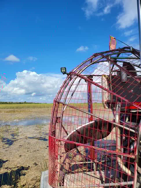 Everglades: boat tour with transportation& entrance included - What’s Included and What to Bring