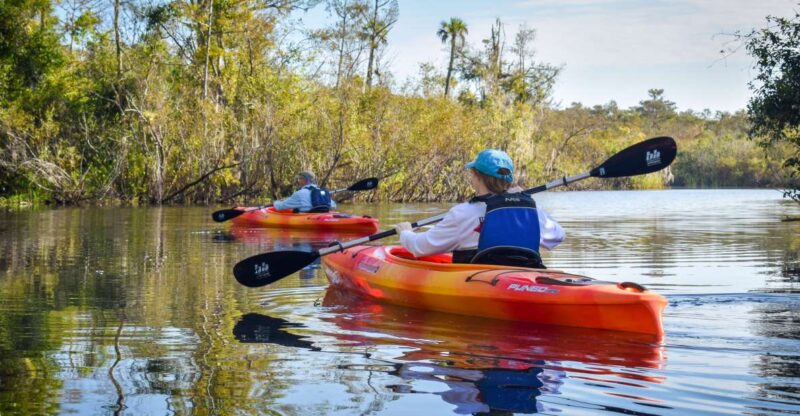 Everglades City: Guided Kayaking Tour of the Wetlands - Navigating the Everglades Guided Kayaking Experience
