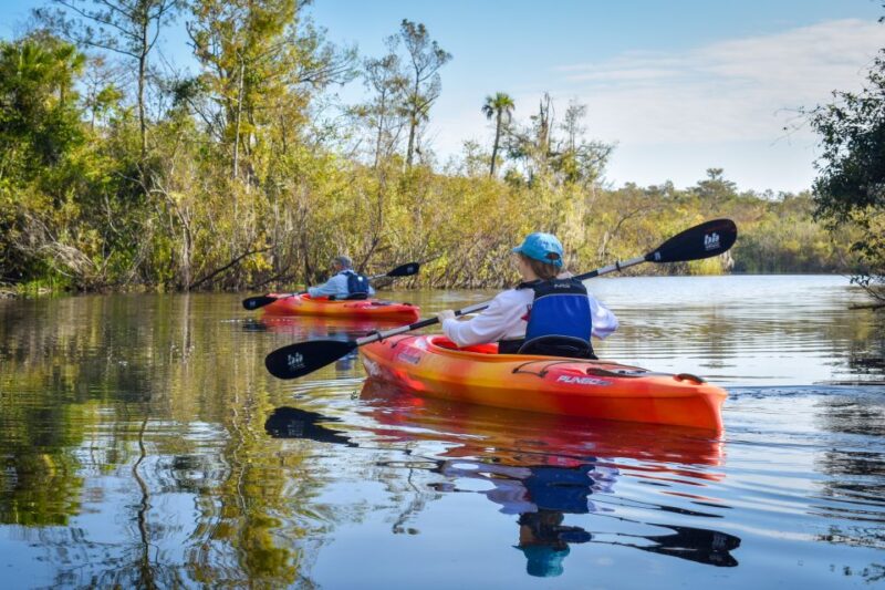 Everglades City: Guided Kayaking Tour of the Wetlands - The Unique Ecosystem of the Everglades