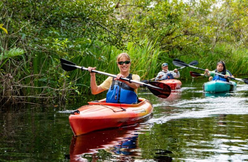 Everglades City: Guided Kayaking Tour of the Wetlands - The Role of the Guides and Safety Measures