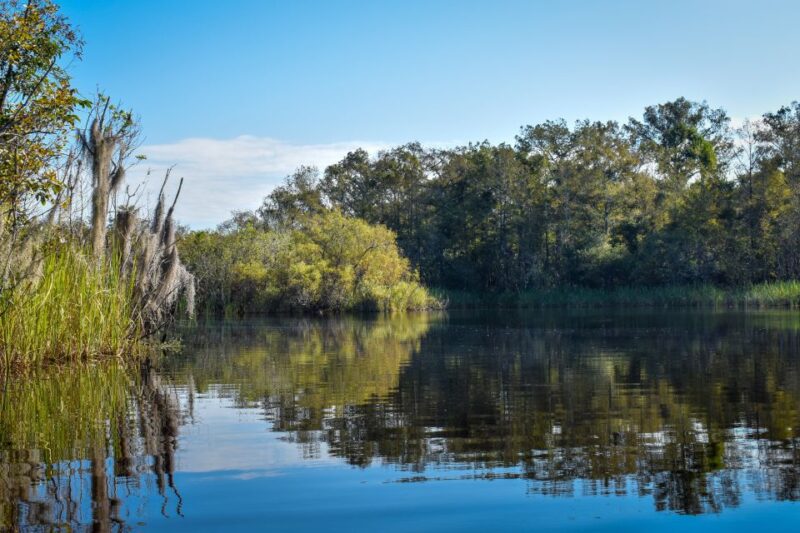 Everglades City: Guided Kayaking Tour of the Wetlands - Accessibility and Physical Requirements