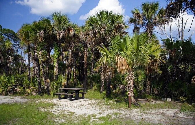 Everglades Day Safari from Fort Myers/Naples Area - Discover the Everglades with a Full-Day Safari from Fort Myers