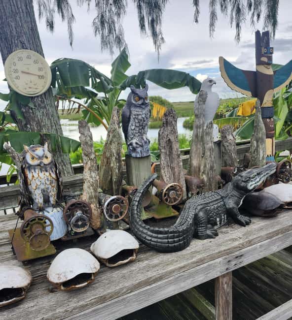 Everglades Eco Airboat Tour small group & top transportation - Cultural and Wildlife Encounters on the Private Islands