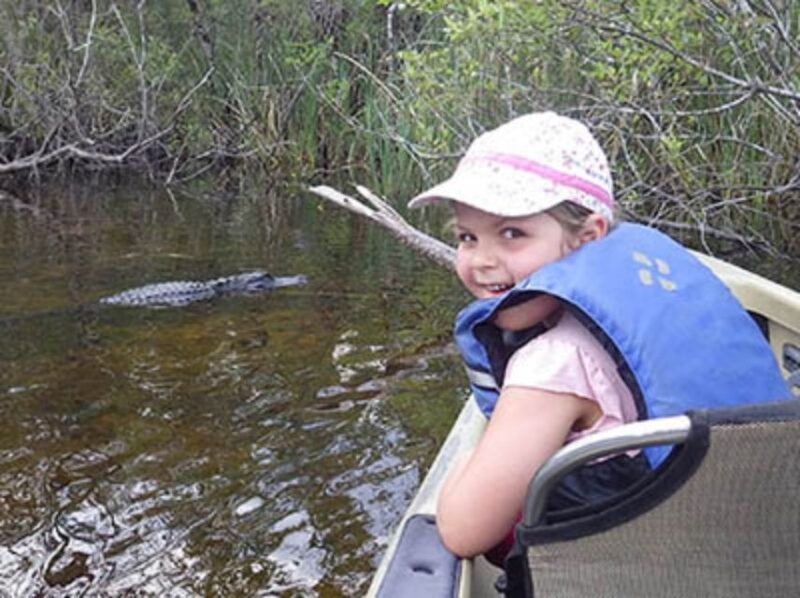 Everglades: Everglades Alligators and Orchids Kayak Eco Tour - Timing and Best Seasons for Wildlife Viewing