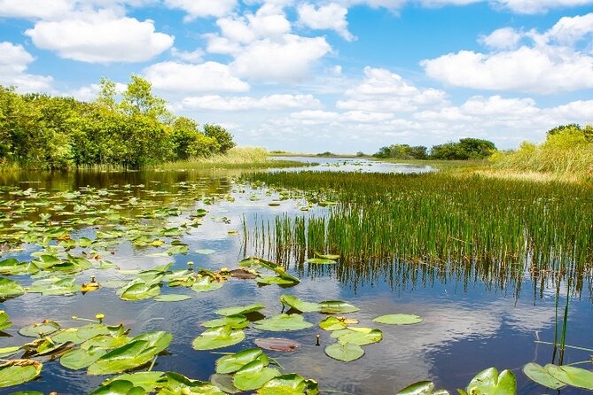 Everglades Express Small Group Tour from Miami with Airboat Ride - Highly Praised Guides and Customer Satisfaction