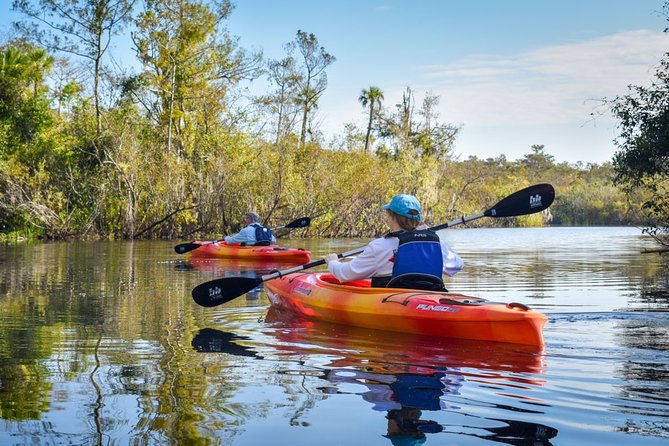 Everglades Guided Kayak Tour - Why Choose the Everglades Guided Kayak Tour in Naples