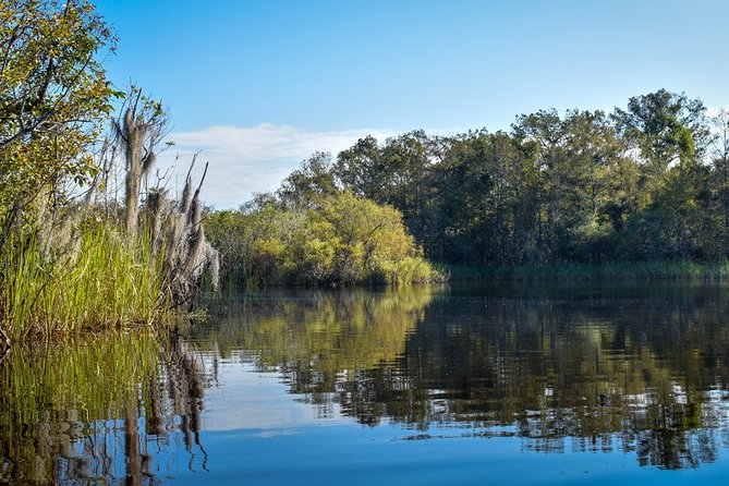 Everglades Guided Kayak Tour - The Guide’s Role and Expertise