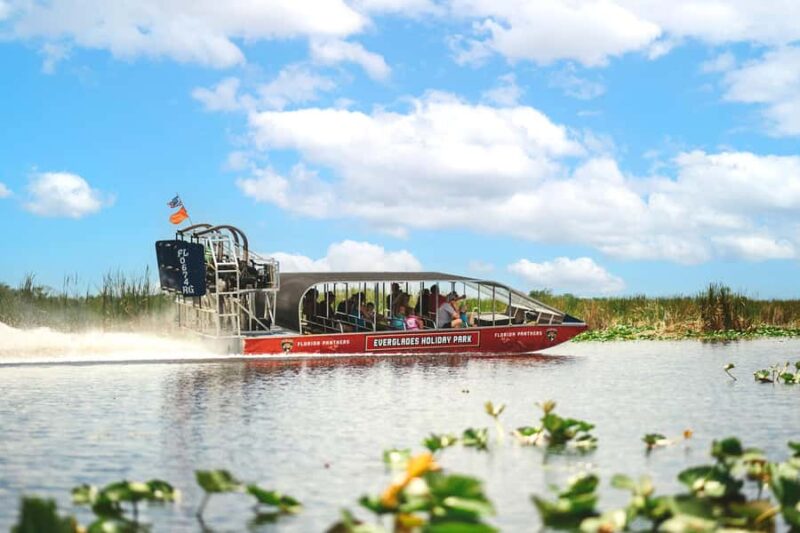 Everglades Holiday Park Airboat Tour - Wildlife Sightings and Natural Habitat
