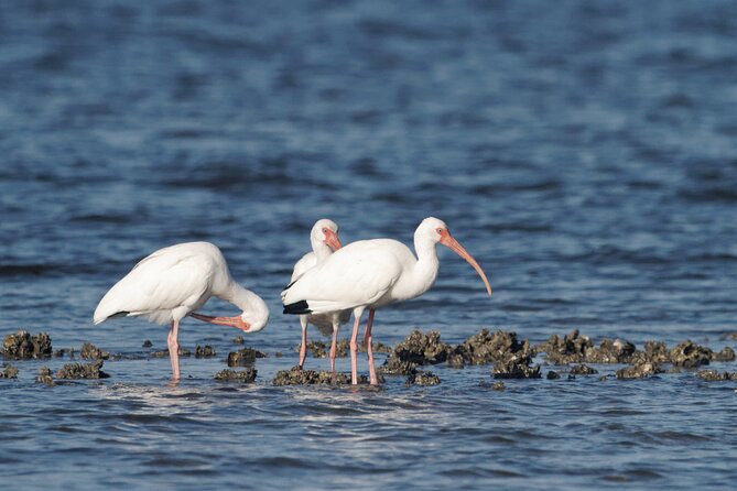 Everglades Kayak & Canoe Rentals - Booking and Cancellation Policies