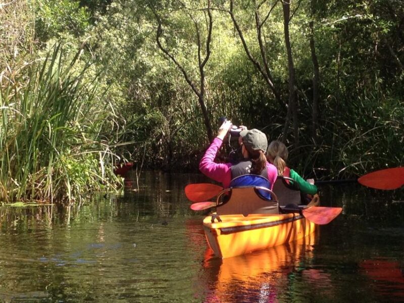 Everglades Kayak Safari Adventure Through Mangrove Tunnels - The Sum Up: An Exclusive, Educational Kayaking Experience