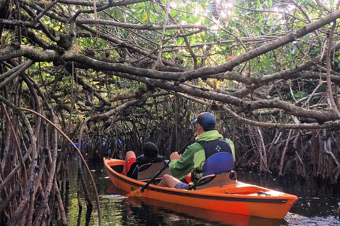 Everglades Kayak Safari Adventure Through Mangrove Tunnels - Discover the Unique Everglades Kayak Safari in Naples
