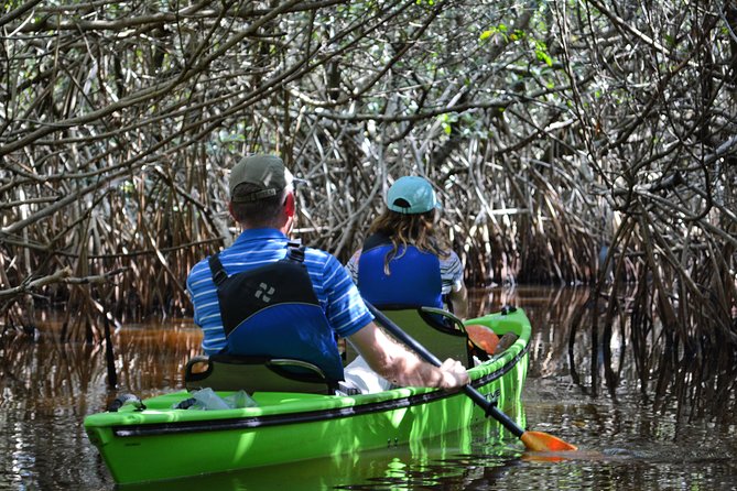 Everglades Kayak Safari Adventure Through Mangrove Tunnels - The Experience of Paddling in Mangrove Tunnels