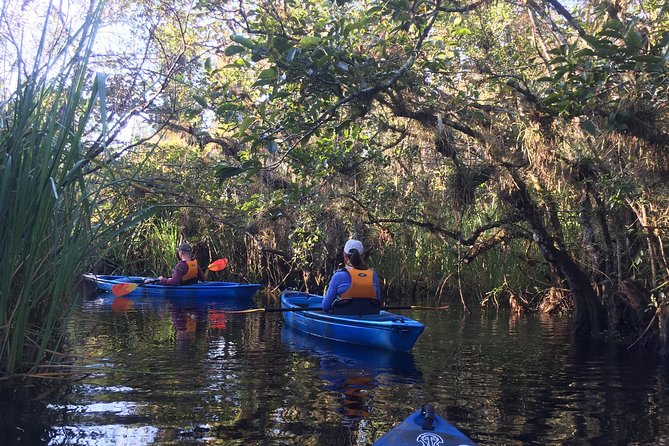 Everglades Kayak Safari Adventure Through Mangrove Tunnels - Wildlife Encounters and Sightings