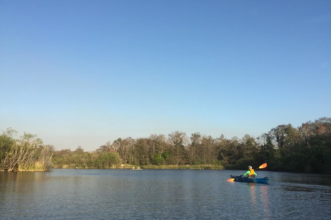 Everglades Kayak Safari Adventure Through Mangrove Tunnels - Practical Tips for Participants