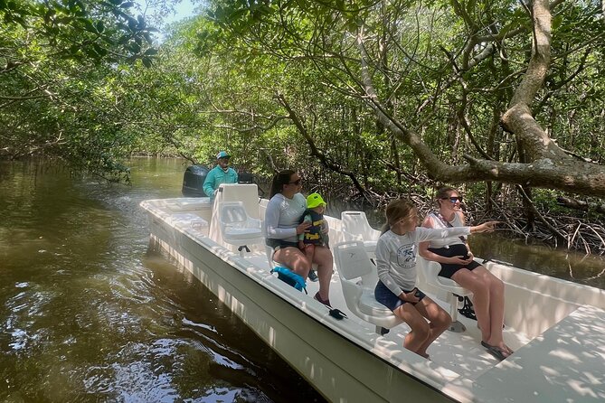 Everglades Mangrove Wilderness Boat Tour - The Wildlife Encounters: Dolphins, Alligators, and Birdlife