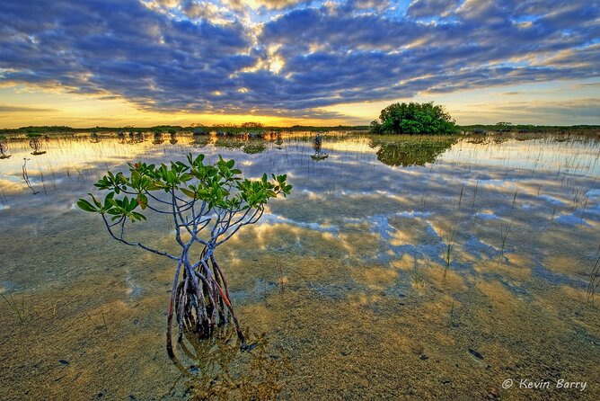 Everglades Mangrove Wilderness Boat Tour - Practical Details: Meeting Point, Group Size, and Amenities