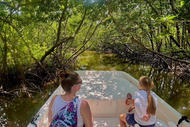 Everglades Mangrove Wilderness Boat Tour - Weather and Cancellation Policy