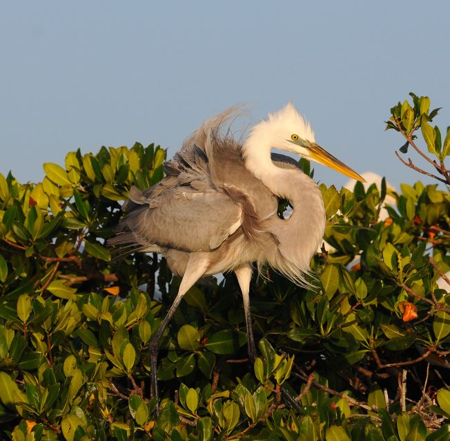 Everglades National Park 3-Hour Kayak Eco Tour - Exciting 3-Hour Kayak Eco Tour in Everglades National Park