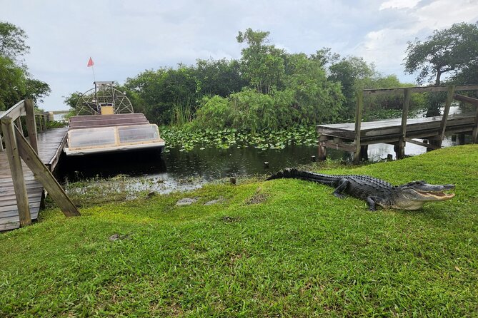 Everglades National Park Biologist Led Adventure: Cruise, Hike + Airboat - Lunch at Chokoloskee’s Local Eatery