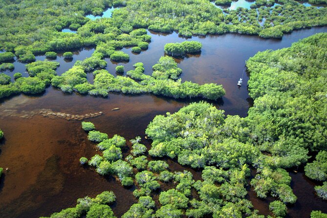 Everglades National Park Boat Tour - Accessibility and Comfort During the Tour
