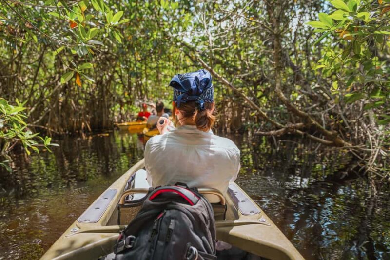 Everglades National Park: Mangrove Tunnel Kayak Eco-Tour - Key Points