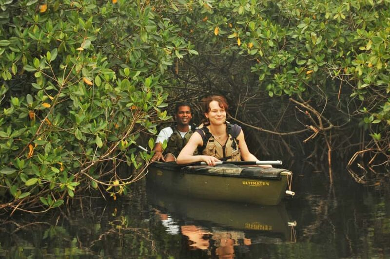 Everglades National Park: Mangrove Tunnel Kayak Eco-Tour - Starting Point in Tamiami Trail E