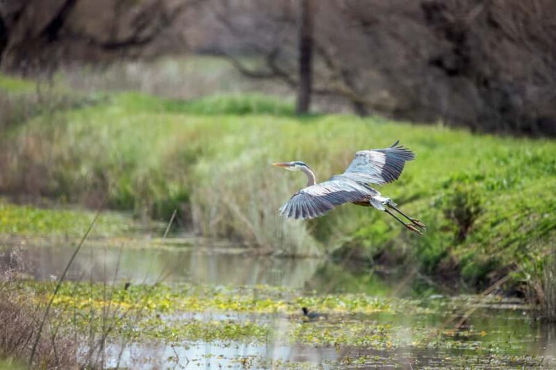 Everglades National Park: Mangrove Tunnel Kayak Eco-Tour - Frequently Asked Questions