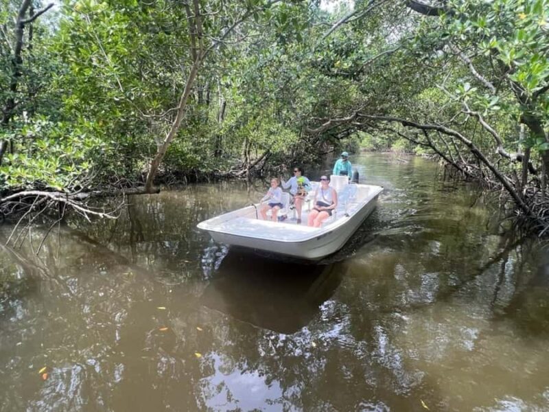 Everglades National Park: Mangrove Wilderness Tour - Practical Details and What to Prepare