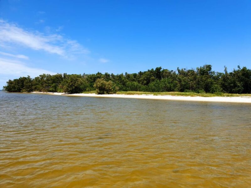 Everglades National Park: Motorboat Eco Tour - Exploring the 10,000 Islands