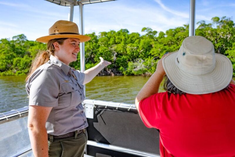 Everglades National Park: Pontoon Boat Tour & Boardwalk - The Pontoon Boat Experience and Wildlife Sightings