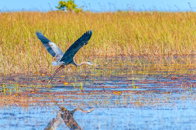 Everglades National Park Self Guided Driving Tour Audio/GPS - Practical Aspects and Booking Details