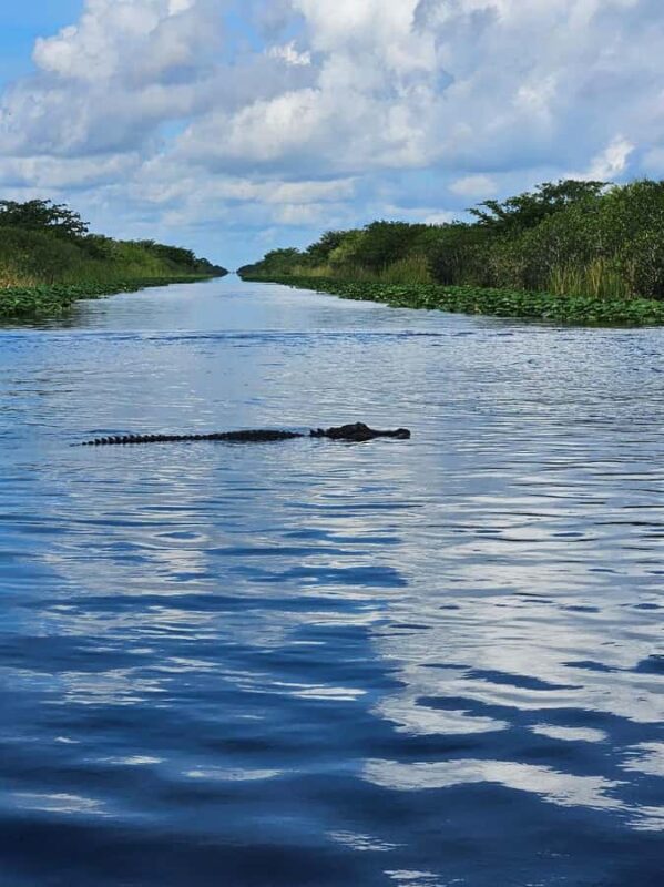 Everglades: on Flat Propelled Boat with Transportation - Small-Group Eco-Exploration in the Everglades
