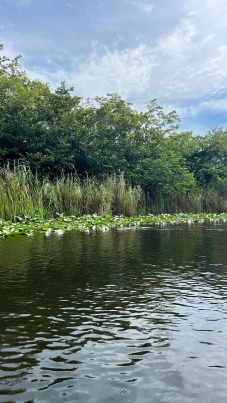 Everglades: on Flat Propelled Boat with Transportation - Convenient and Flexible Pickup from Miami Hotels