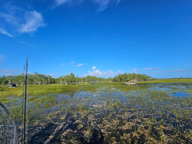 Everglades: on Flat Propelled Boat with Transportation - Practical Tips for the Everglades Flat Propelled Boat Tour