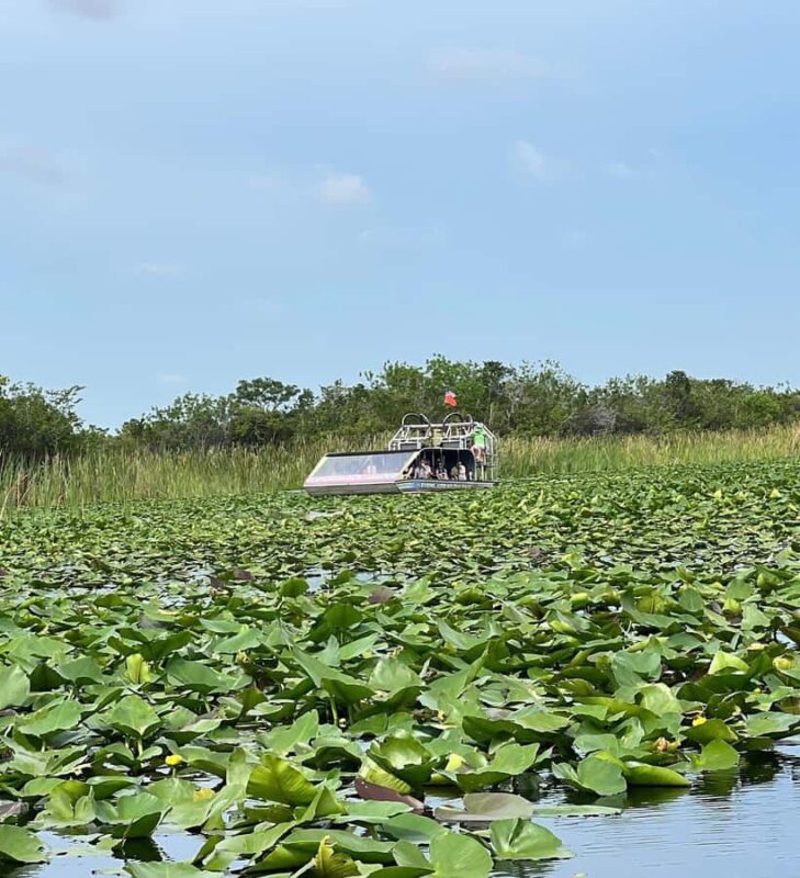 Everglades: on Flat Propelled Boat with Transportation - What Sets This Tour Apart from Others