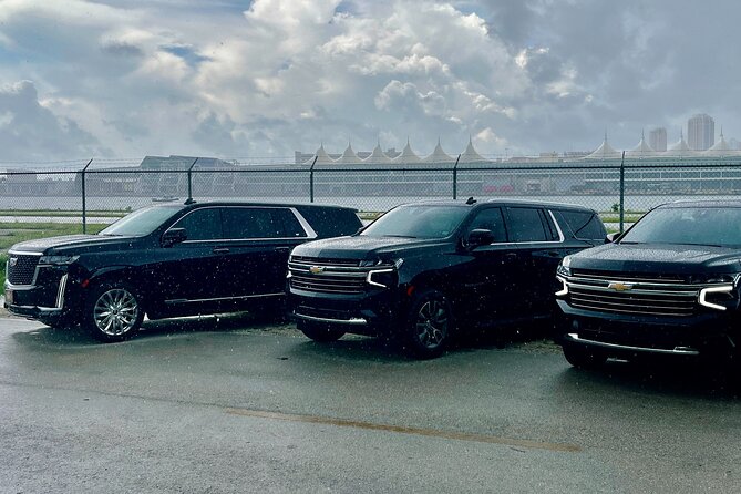 Everglades Park From Fort Lauderdale Round-trip Transportation - The Sum Up: A Private Gateway to the Everglades